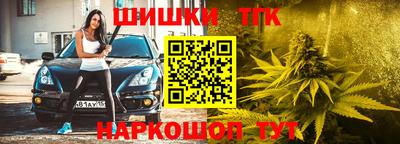 герыч Можга