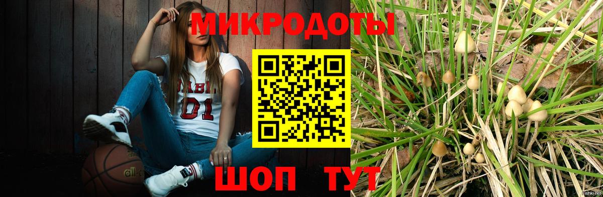 Псилоцибиновые грибы GOLDEN TEACHER  Вход с VPN  Галлюциногенные грибы прущие грибы  Бор 