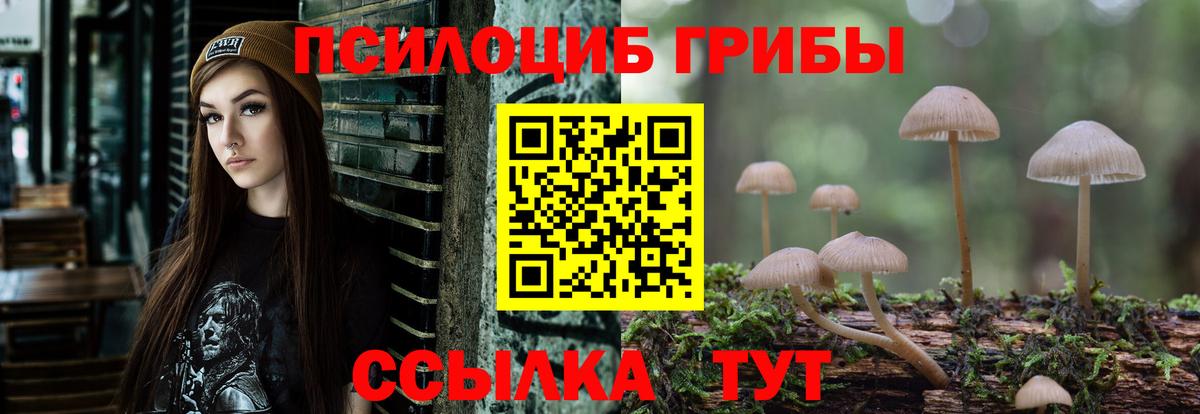 Галлюциногенные грибы Cubensis Бор